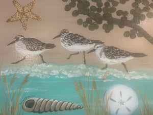 Sandpipers and Seashells ￼