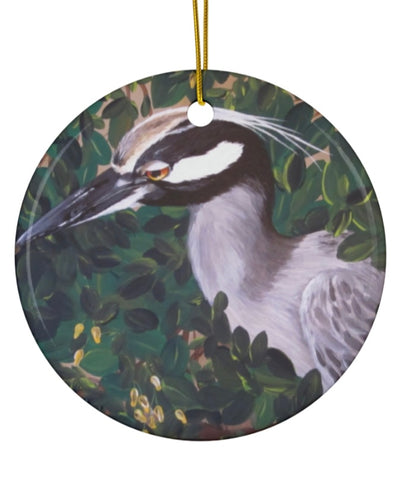 Night Heron