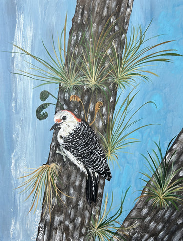 Red Bellied Woodpecker