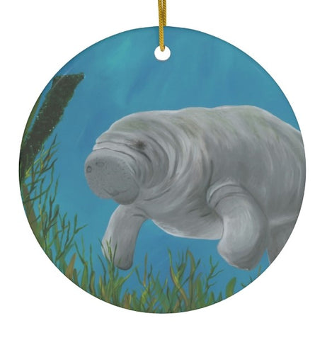 Jen’s Manatee