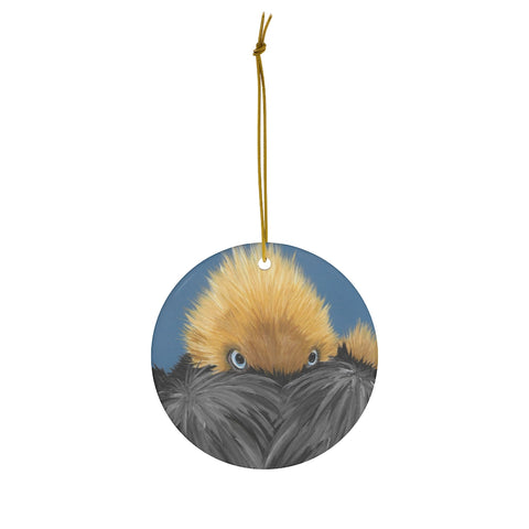 Round Ceramic Ornaments (Peekaboo Pelican)