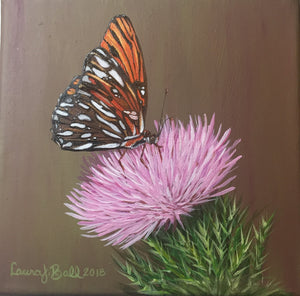 Butterfly on Purple Thistle